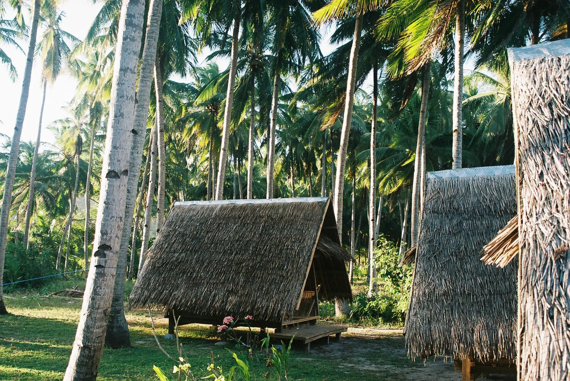 Camping on a deserted island