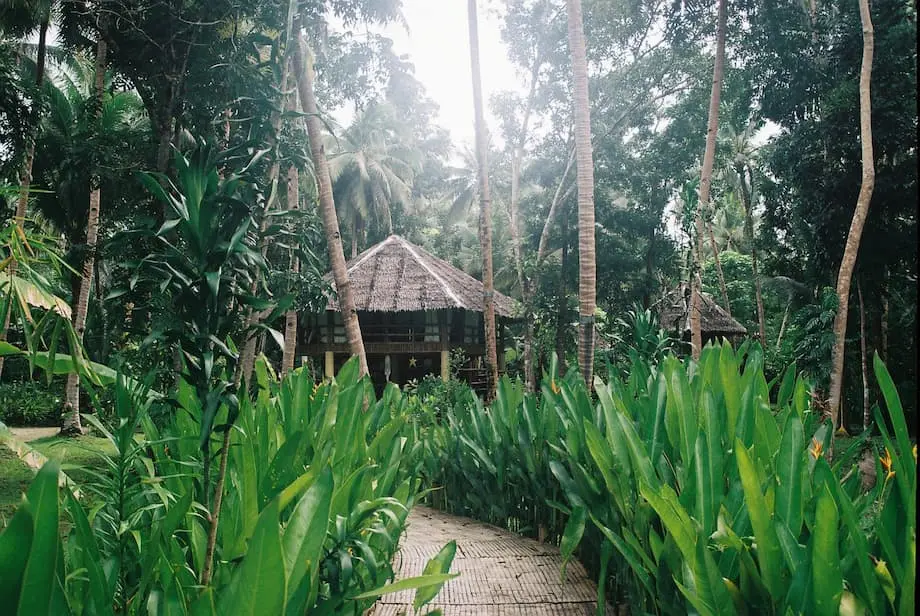 Photo of a hotel in Bohol